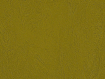 黄色搞逼软件：当物理法则在赛道狂欢中彻底崩坏