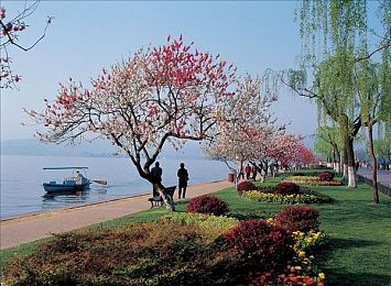 大香伊蕉日本一区二区优势：霓虹夜幕，极速穿梭都市峡谷与山道回旋-3