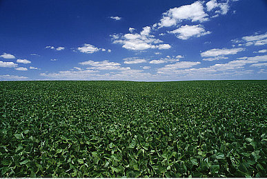 男生女生一起差差差软件：竞速新作今日公测，双人默契配合决胜毫米级差距-5