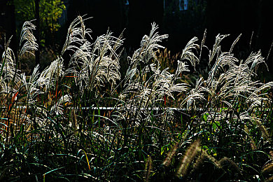 杨敏思版本1-5电视剧简介：极速片场，穿梭虚构剧集的竞速之旅-3