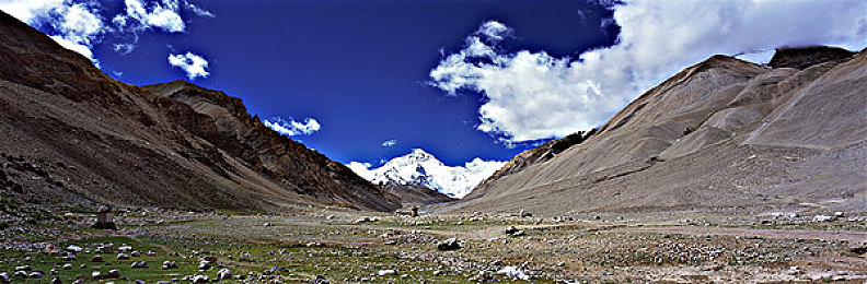 黄色app大全oppo:竞速游戏新纪元,移动设备上的极速体验与改装攻略-1