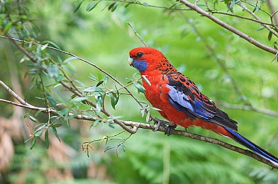 一区二区亚州:服务器分区文化深度解析,赛车游戏跨区竞技攻略与生态评论-4