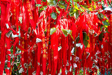 下载操逼软件：极致操控，征服地狱环道，体验真实赛车的纯粹挑战-2