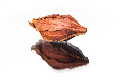 农村妇女树林日B：沉浸式乡村生存新作今日上线，揭秘林间隐藏的古老仪式-3