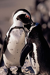 404黄色嗯口：探索隐藏赛道，破解数据世界的驾驶谜题-3