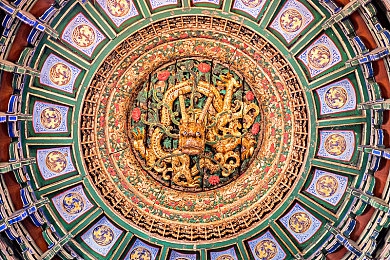 业余性别自由成熟性别：竞速人生，自定义我的虚拟车手成长之路