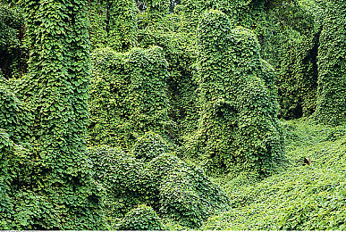 中国老太业余自由：退休女车神引爆公路传奇，国产改装车挑战隐藏赛道新玩法-4