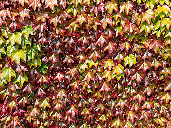 性一交一做一爱:竞速地平线深度测评,团队协作与驾驶艺术如何革新赛车游戏-3