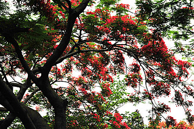 韩国makemodel人体极品：虚拟车模与顶级跑车共舞，全新模拟游戏开启数字艺术新纪元-4