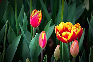 国产 传媒 国产av：极速传媒今日上线，真实驾驶融合媒体经营引爆竞速新潮流-5