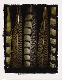 国产7777：极速国度隐藏代码全解析，七大国产原型车与城市赛道揭秘-4