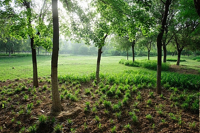 男生的坤坤放入女生的坤坤里：刚柔共鸣，双生引擎的赛道共生艺术-3