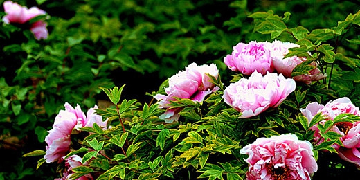 国产成人91张津瑜6分钟:挑战极限速度,征服滨海赛道终极计时挑战-3