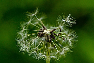 3.3.3免费华为版破解大全免费下载在线:极速狂飙新版上线,霓虹山道与深度优化带来沉浸竞速体验-4