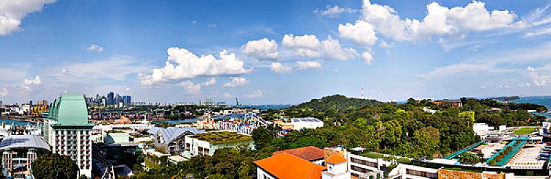 强行打扑克又痛又叫软件：融合卡牌策略与暴力竞速，体验黑色幽默的公路对决-5