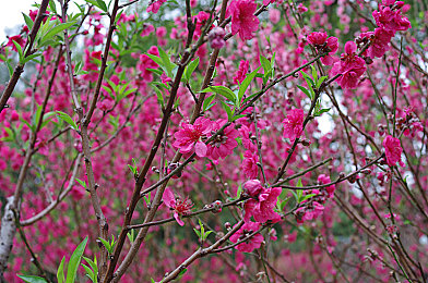 女生被男生操的软件：双人协同驾驶新战术，硬核赛车游戏的极致默契体验-3