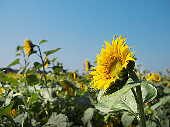 男生和女生一起戳戳APP:今日发布双人竞速新游,极致默契挑战全球真实赛道-4