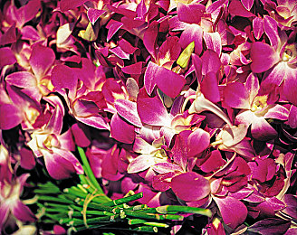 爱情岛亚洲品质自拍论坛：《虚拟社交：爱情岛》今日上线，驾驶摄影与社交叙事创意融合-3