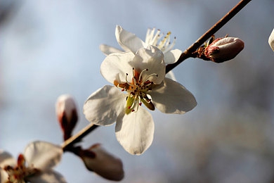 男男性爱视频网站：虚拟都市竞速新作上线，兄弟车队共闯开放世界-5