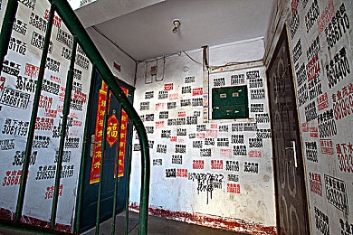 性一交一性一爱：双引擎交响，人车合一与团队羁绊的竞速新维度-3