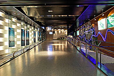 国语成人av：极速都市狂飙，深度改装与真实驾驶的开放世界竞速体验-5