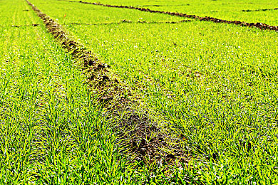 XDEVIOS中文免费下载:极速狂飙,开放世界驾驶与真实改装的无界竞速之旅-4