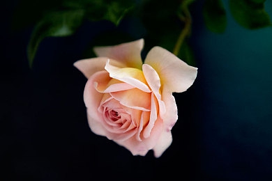 黄片404：地下赛车改装风云，游走法律边缘的极限挑战-3