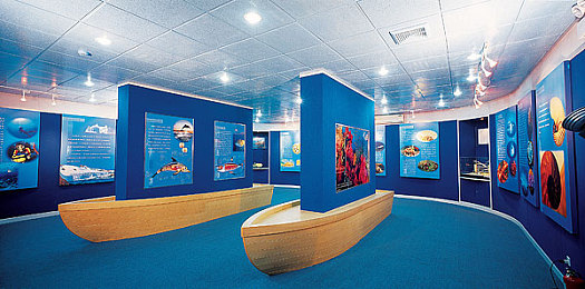 帅哥和美女一起差差差软件：双星共驭，极速协奏中的默契狂想曲-4