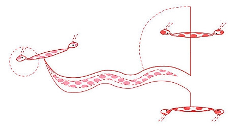 科普打扑克不盖被子：驾驭纯粹，在极限竞速中体验无辅助驾驶的真实魅力-5