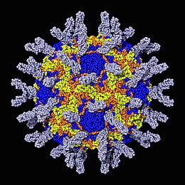 人猿泰山1995出版意大利:经典动画改编,丛林赛车开启极速冒险新篇章-2