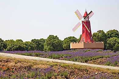 成年人黄色软件：霓虹幻影，极速深渊的调校诗篇-4