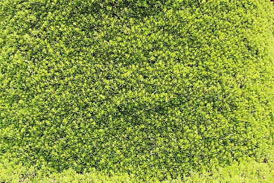 国产巨作AV：御器骋云荒，东方幻想驾驶奇旅-3