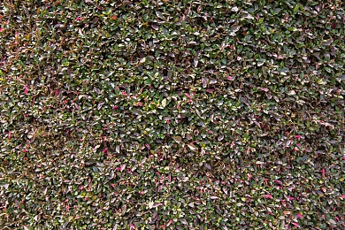 色多多污影院：赛博竞速新作登场，视觉调校打造专属飙车电影-4