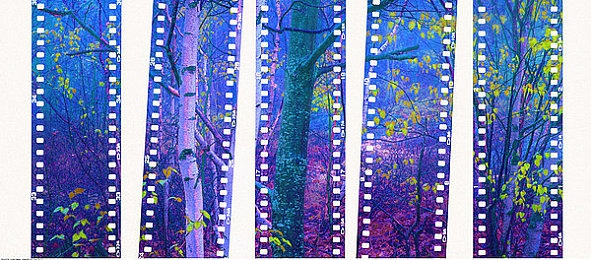 黄色成人网站入口：极限竞速街头狂飙面临成人内容争议，玩家呼吁专注驾驶体验