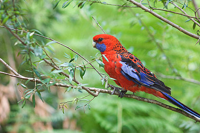 好·色·先·生tⅴ：极限竞速地平线5，用视觉美学重新定义赛车艺术-2