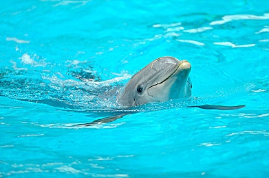 欧州一区二区：征服北欧冰原与南欧海岸，地平线系列欧洲双赛道终极攻略揭晓-3