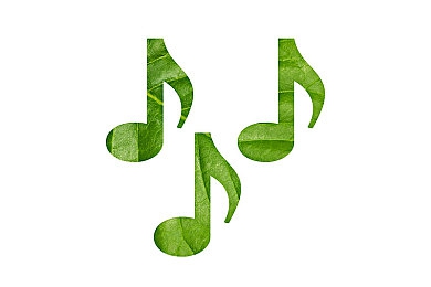 打扑克又疼又叫软件下载安装免费:卡牌策略驾驭硬核赛车,创新游戏今日引爆竞速狂潮-4