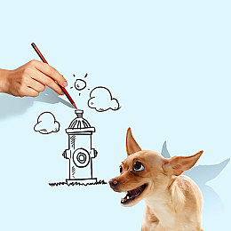 黄色下载软件3.3.0.0.3华为：揭秘未来赛车隐藏代号，解锁传奇光梭驾驶新体验-4