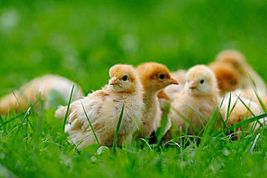 男生和女生一起错错错的软件：双人协同失控之旅，爆笑公路合作大冒险-2