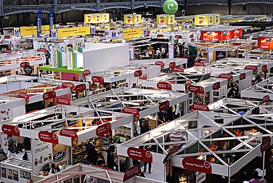 又叫又痛打扑克:独立新游赛道王牌上线,融合竞速与卡牌引爆双重心流体验-3