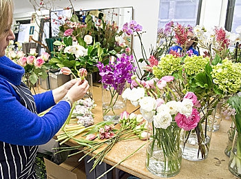 黄色App3.0:极限竞速地平线5,在墨西哥瑰丽风光中尽享驾驶浪漫-5