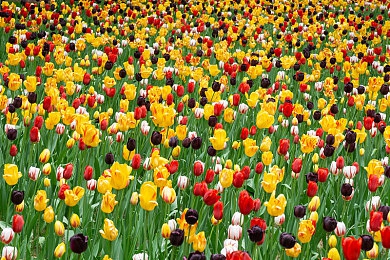 女生和男生做爱软件:双人共驭,心灵同步的极速羁绊之旅-2