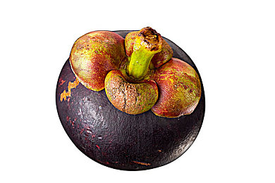 打扑克不盖被子又叫又疼：卡牌与赛车硬核融合，创新游戏让玩家痛并快乐着-2