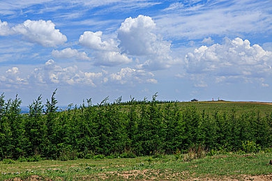 15少年男同18少年男同：双生车魂共鸣极速，改装与竞速共舞青春赛道-5