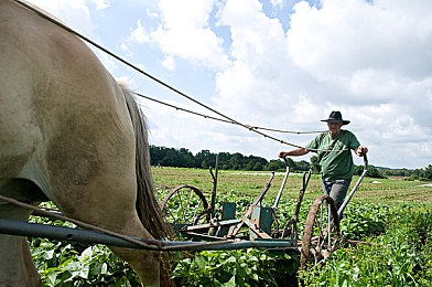 男生女生查查查app：极限竞速地平线，寻找你的最佳速度搭档，开启团队竞速新纪元-3