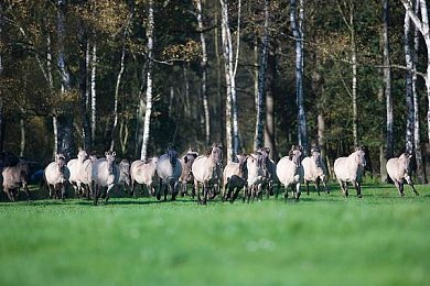 女生啊～你tm别舔了：告别过度收集，专注极速狂飙，重返竞速游戏纯粹驾驶乐趣