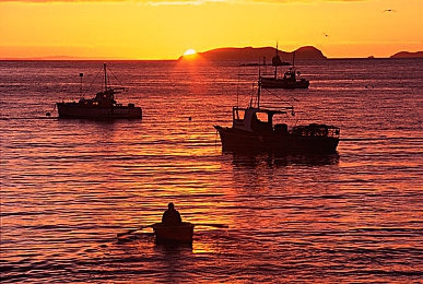 九色  丨PORNY丨首页：霓虹幻境极速狂飙，赛博赛车新作深度试玩报告今日发布-4