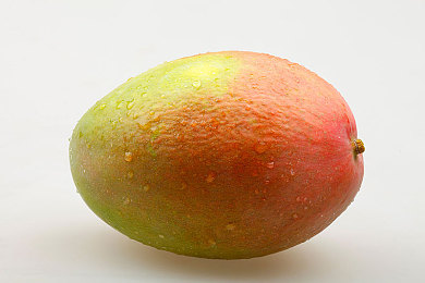 汤不热大剧院破解免费版无需登录：幻影回廊，极速乐章中的艺术竞演-4