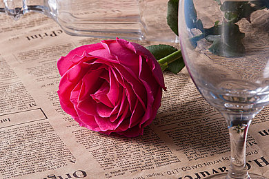 404黄色软件大全：深夜街头赛车新作上线，深度改装系统与道德争议引发玩家热议-3