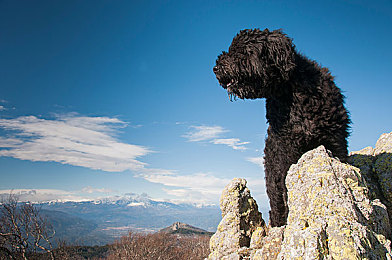 蜜桃精产国品一二三产:驾驶模拟游戏产业进化,从操控到社区构建完整虚拟汽车世界-4